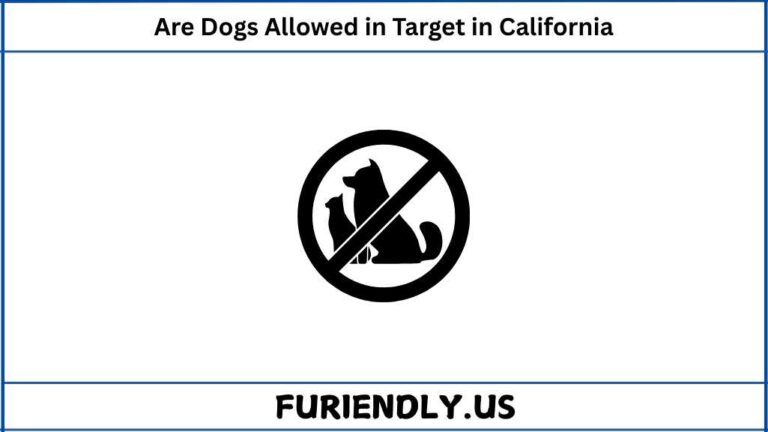 Are Dogs Allowed in Target in California
