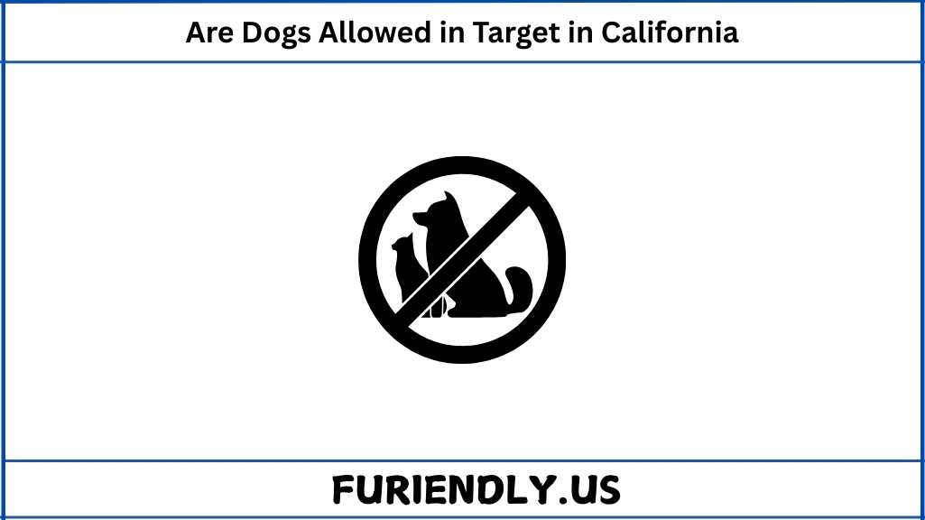 Are Dogs Allowed in Target in California