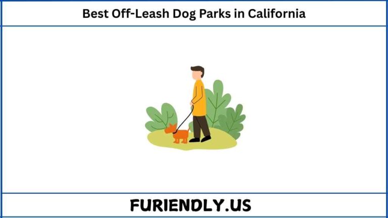 Best Off-Leash Dog Parks in California