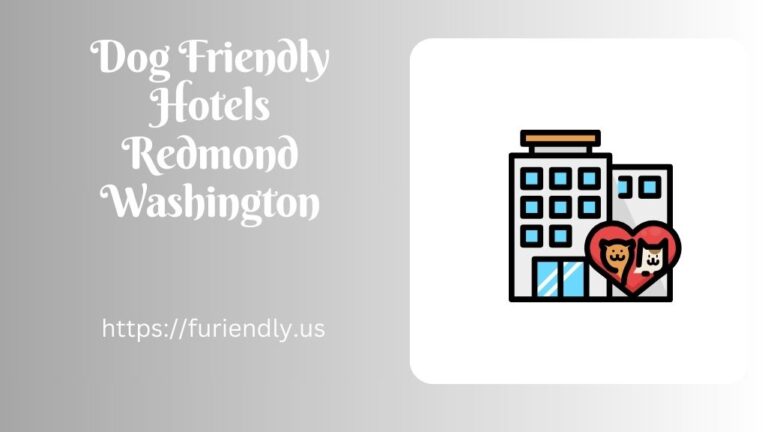 Dog Friendly Hotels Redmond Washington