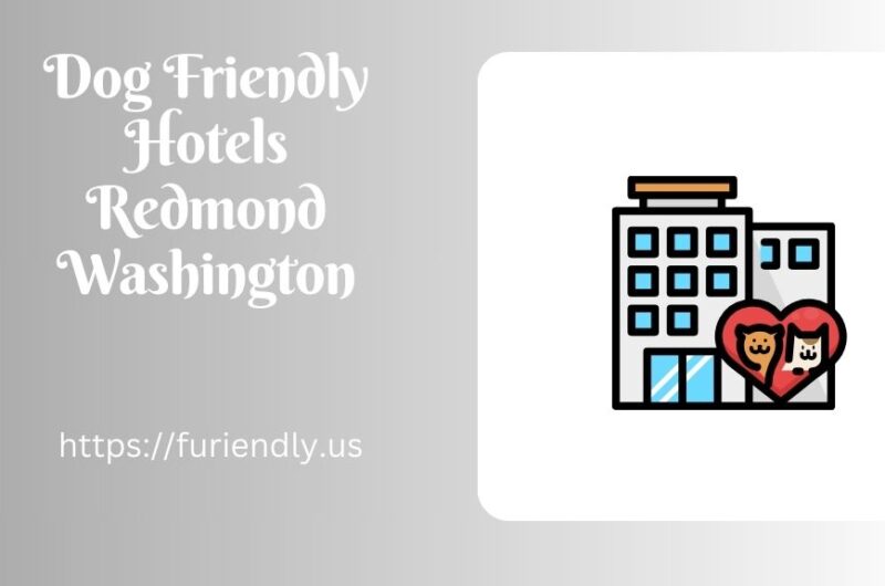 Dog Friendly Hotels Redmond Washington