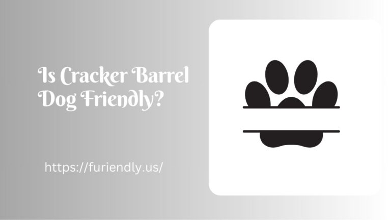 Is Cracker Barrel Dog Friendly