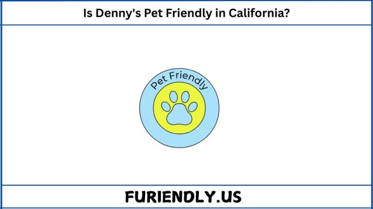 Is Denny's Pet-Friendly in California?
