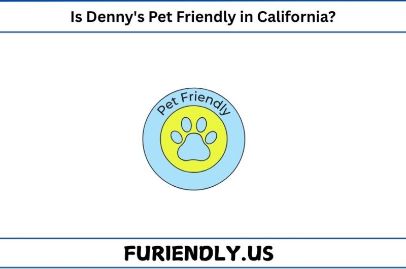 Is Denny's Pet-Friendly in California?