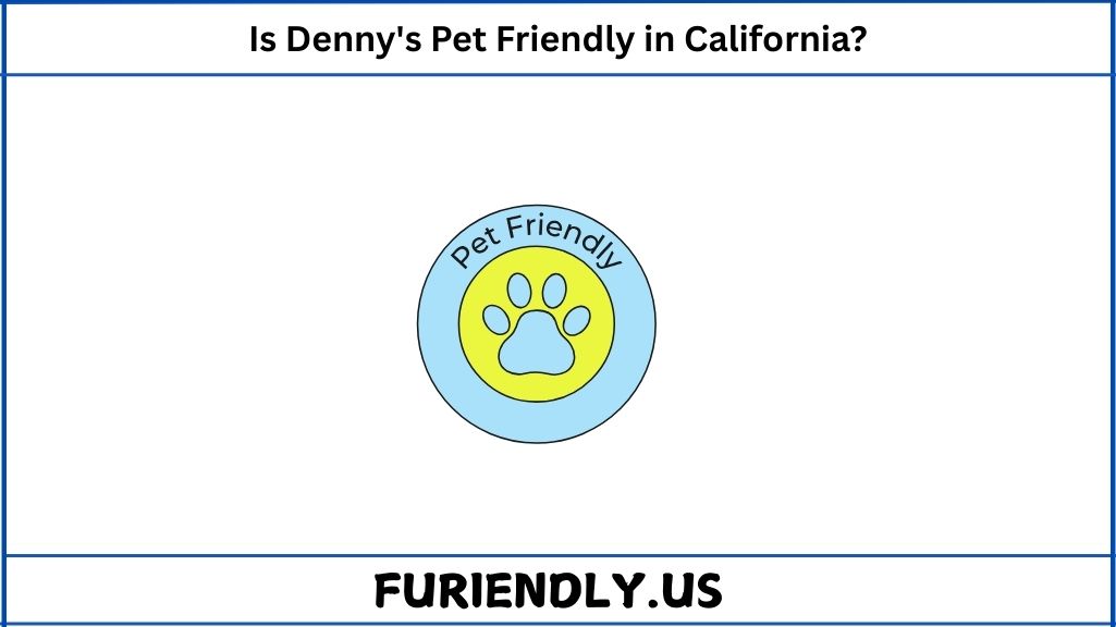 Is Denny's Pet-Friendly in California?
