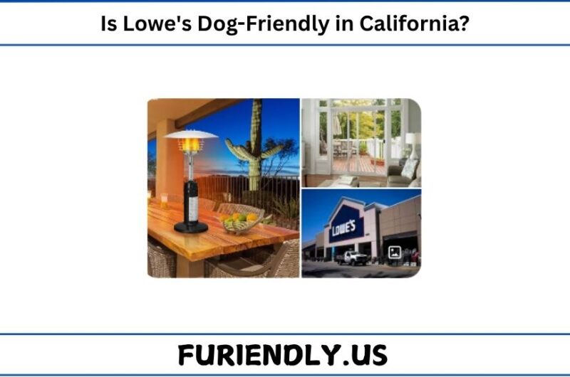 Is Lowe's Dog-Friendly in California