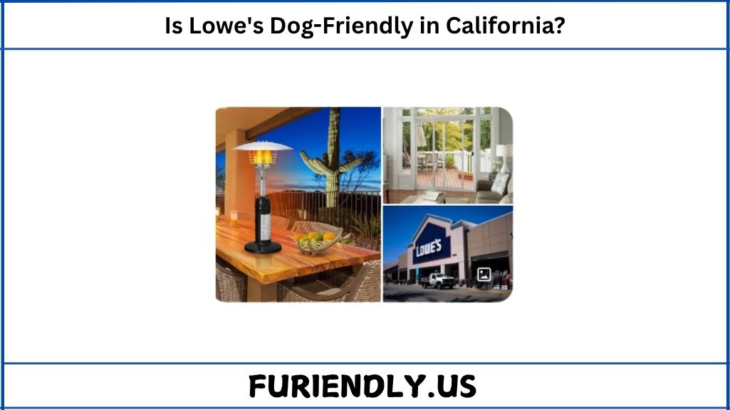 Is Lowe's Dog-Friendly in California