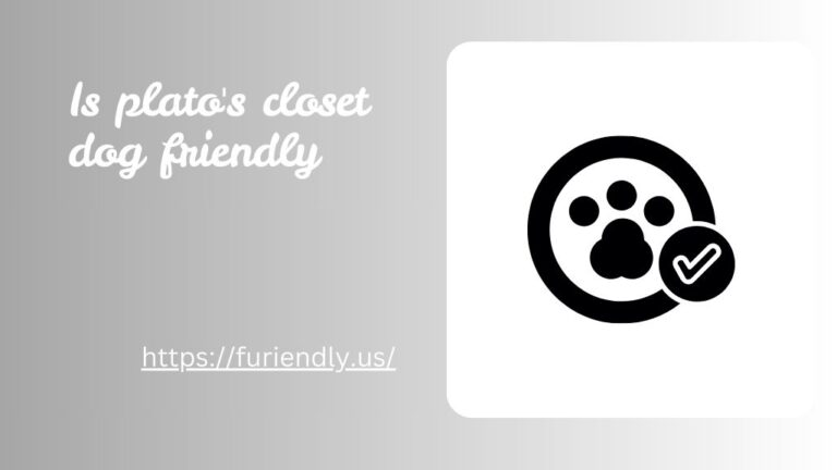 Is Plato's Closet Dog Friendly
