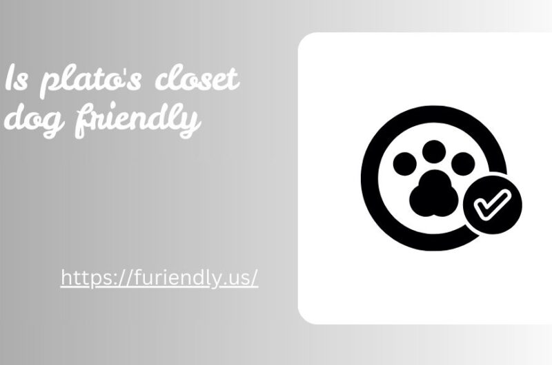 Is Plato's Closet Dog Friendly