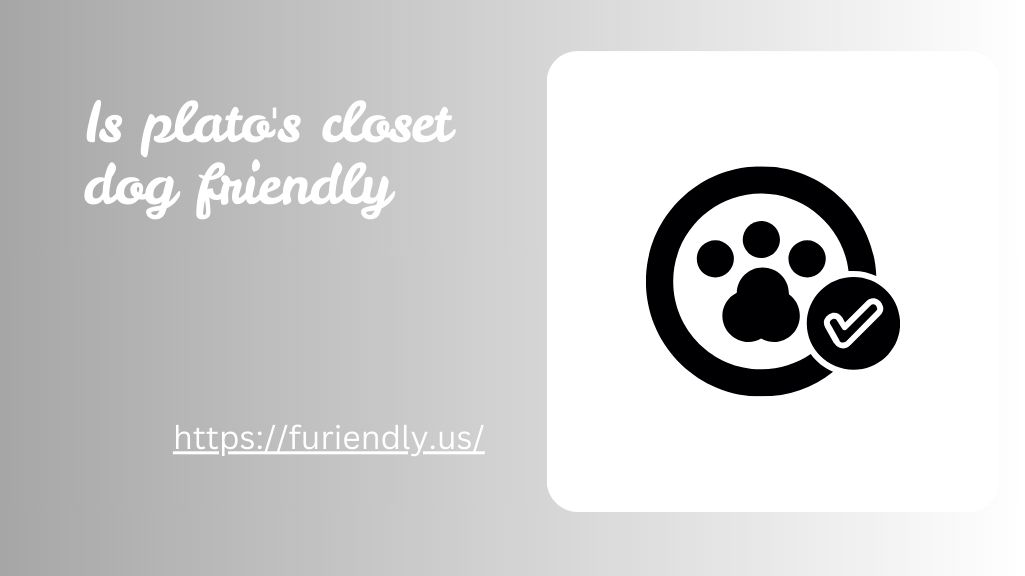 Is Plato's Closet Dog Friendly