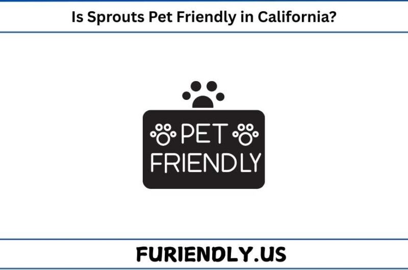 Is Sprouts Pet Friendly in California?